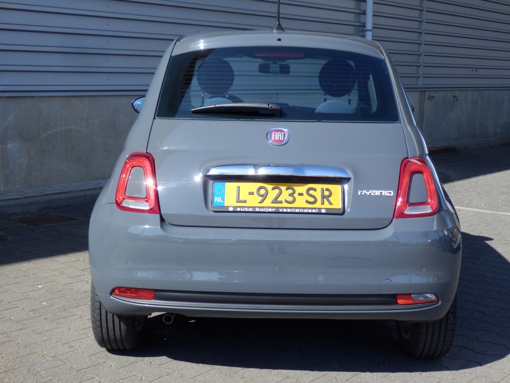 43976420-4.jpg
