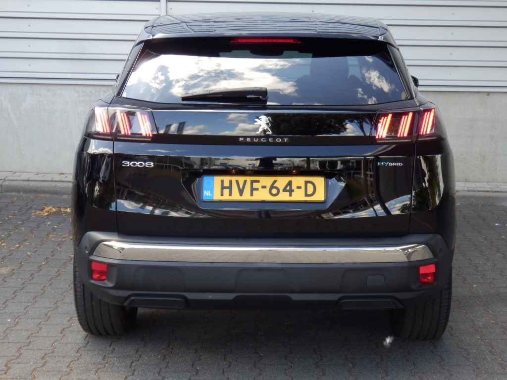46166379-4.jpg