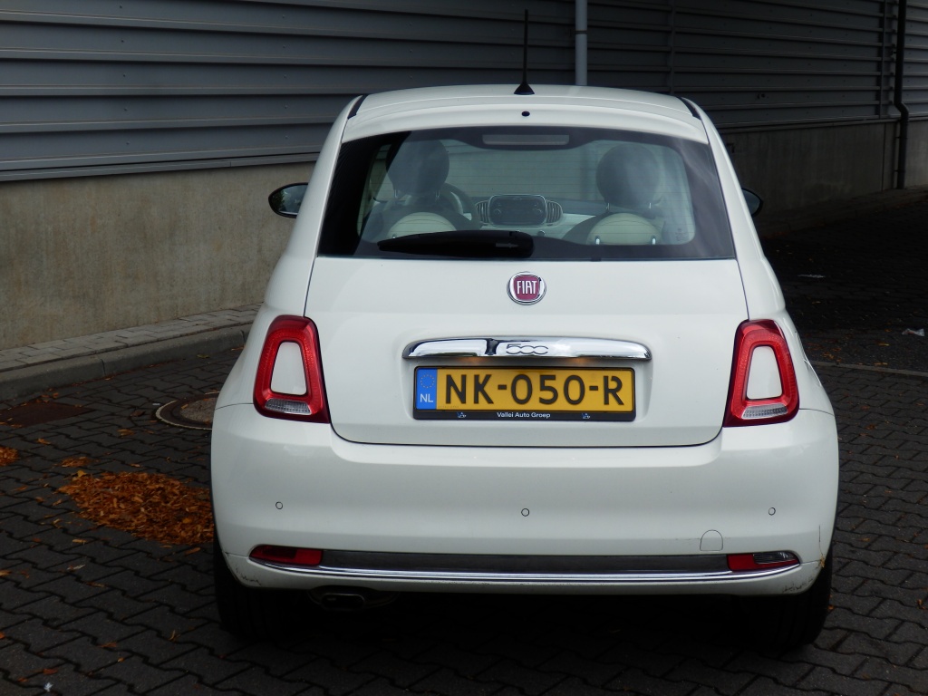 46784465-4.jpg