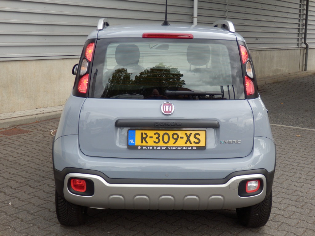47381042-4.jpg