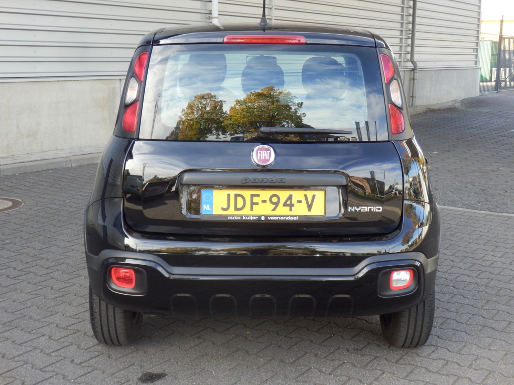 47869977-4.jpg