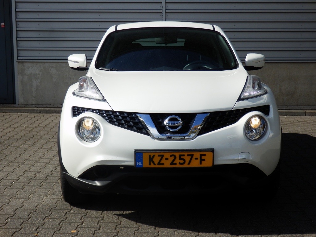 47890852-3.jpg