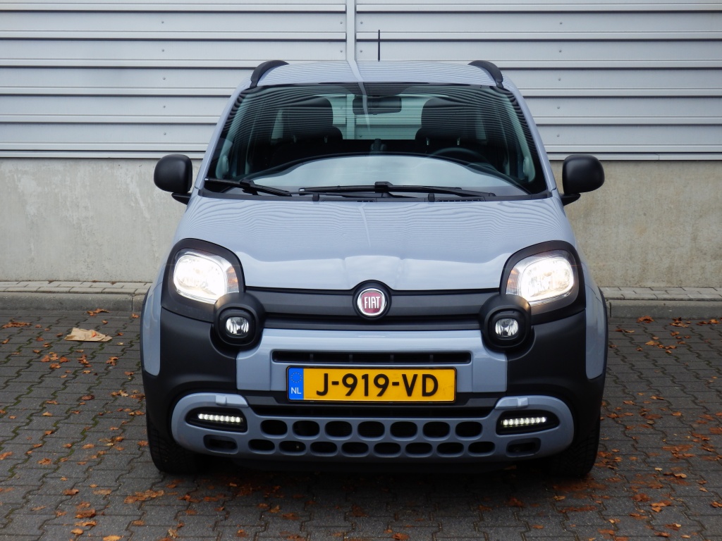 48126448-4.jpg