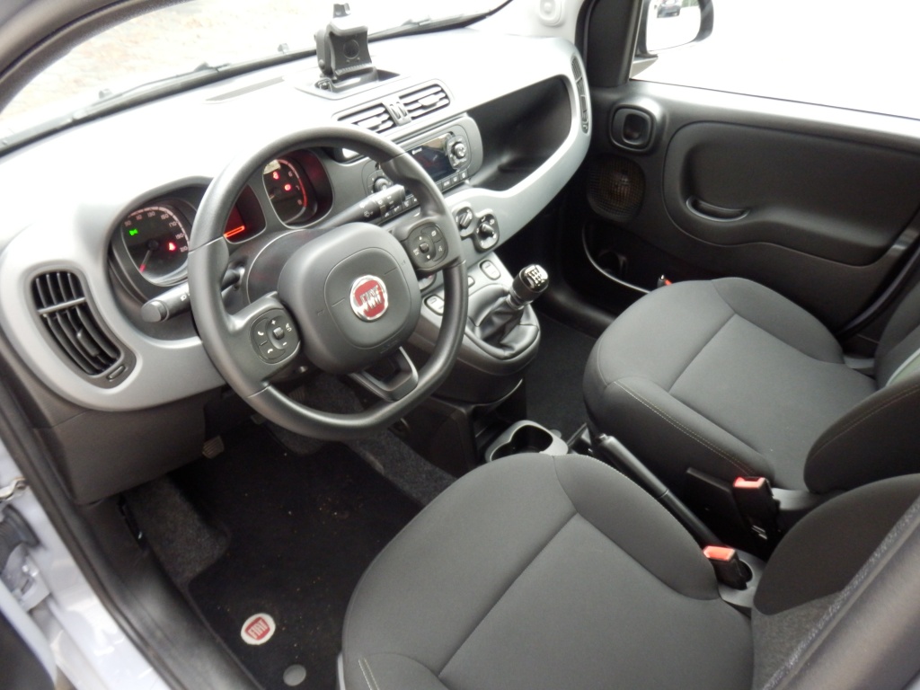 48126448-5.jpg