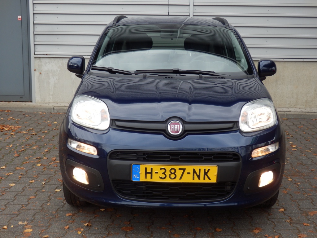 48491561-3.jpg