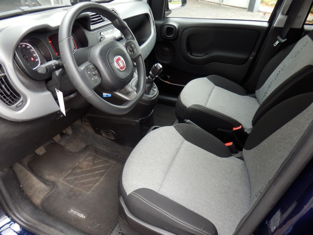 48491561-5.jpg