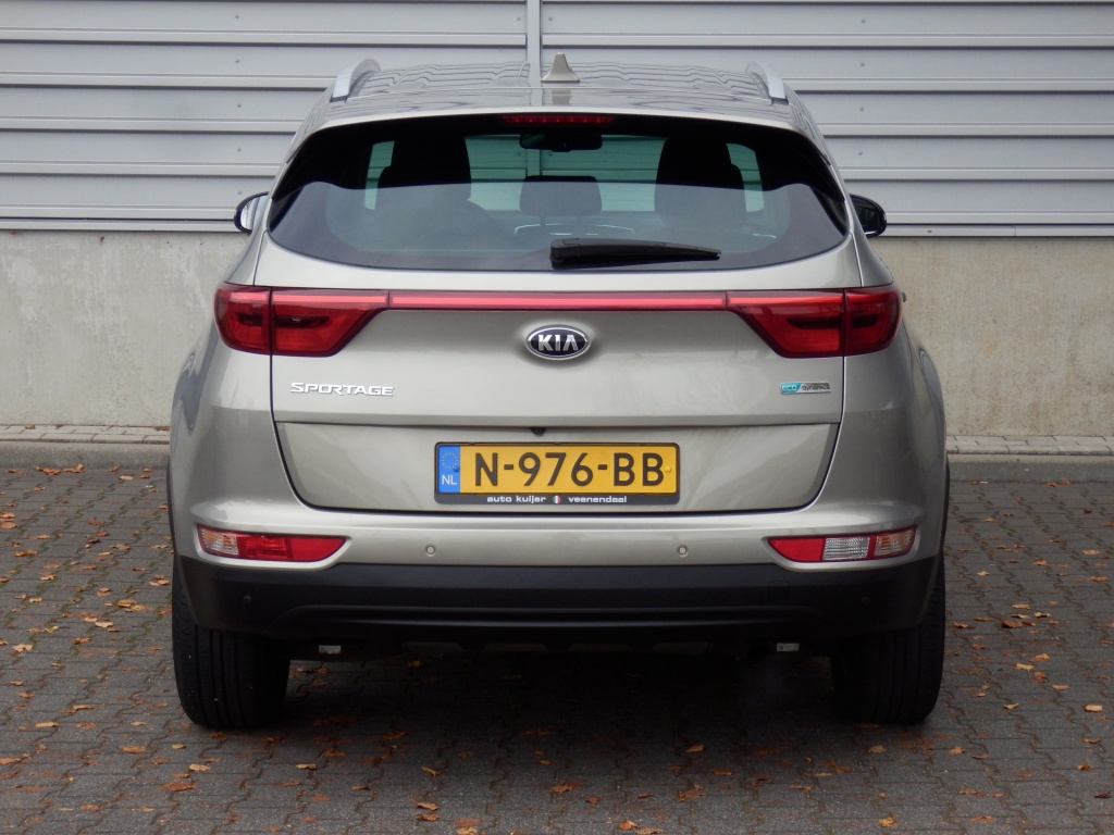 48494521-5.jpg