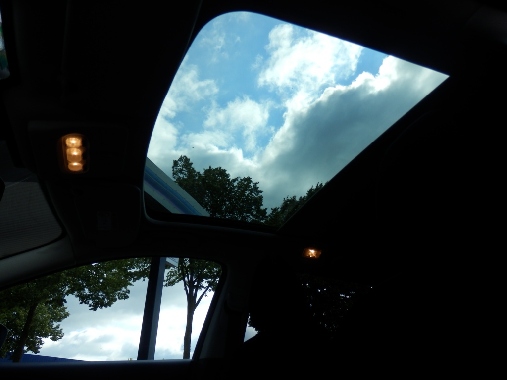 54858539-23.jpg